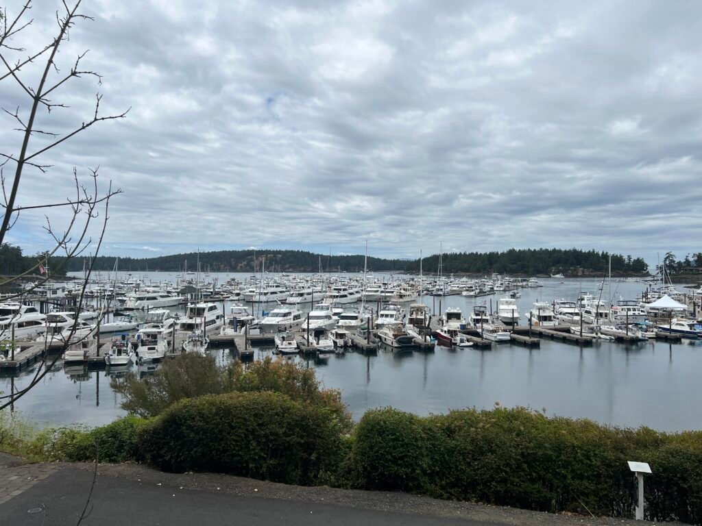 Roche Harbor marina with boats from the ground
